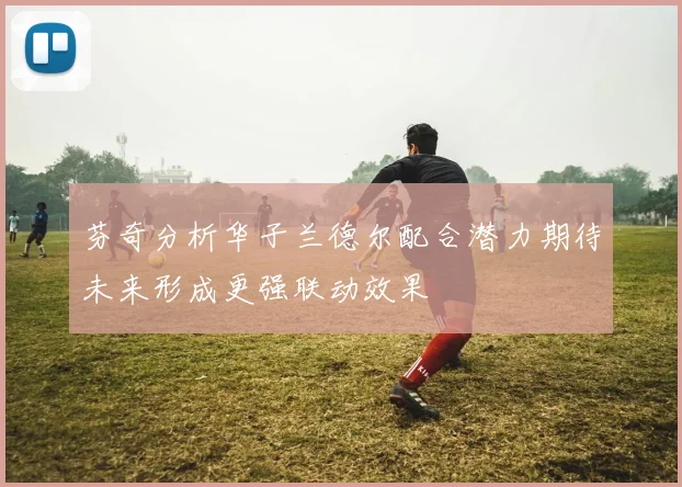 芬奇分析华子兰德尔配合潜力期待未来形成更强联动效果