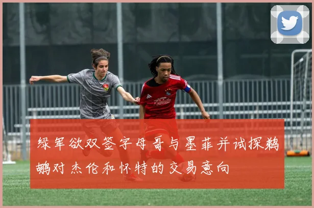 绿军欲双签字母哥与墨菲并试探鹈鹕对杰伦和怀特的交易意向